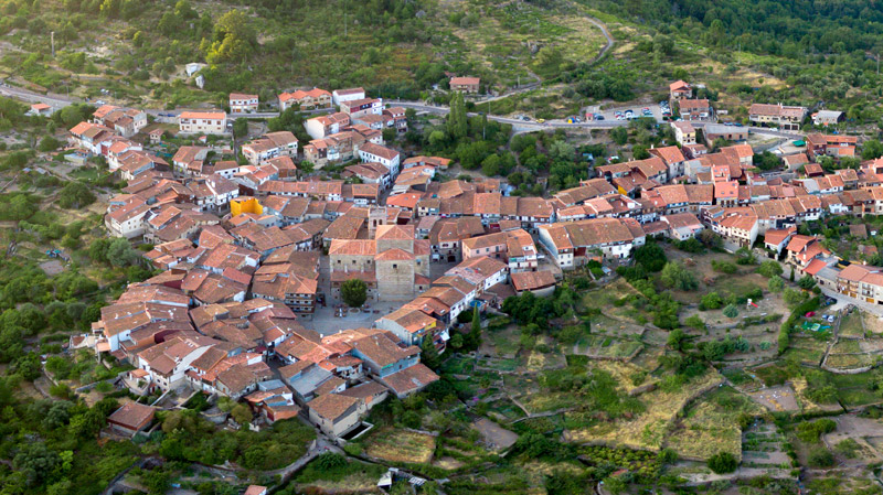 Foto Vianos